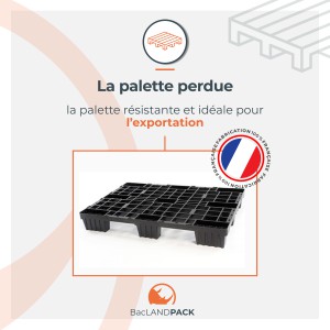 ZOOM SUR LA PALETTE PERDUE